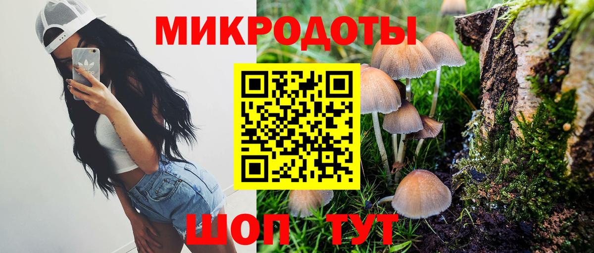 Галлюциногенные грибы мухоморы  Галлюциногенные грибы прущие грибы  Тимашёвск  Вход с VPN 